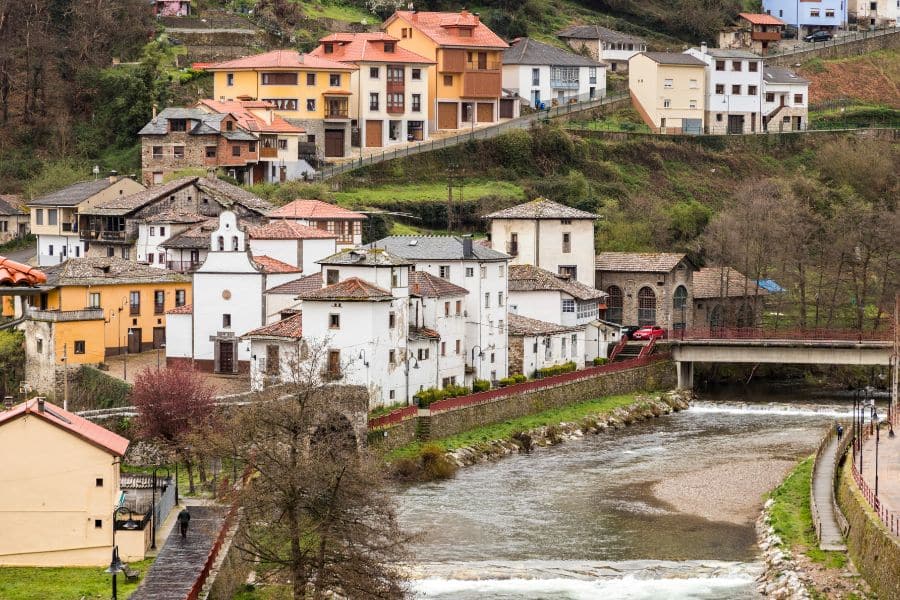 cangas sin gluten